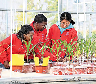 Overseas students dig in to learn modern agricultural techniques