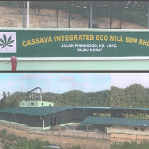 Jingna Cassava development Company in Malaysia